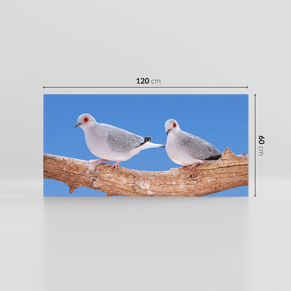 Obraz na płótnie 120x60 - Gołębie w locie - gołębie, gołąb