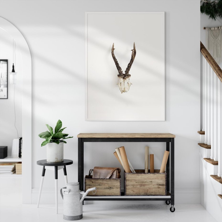 Plakat bez ramy 50x70 - Minimalistyczne Poroże Jelenia - poroże jelenia na ścianie, minimalizm