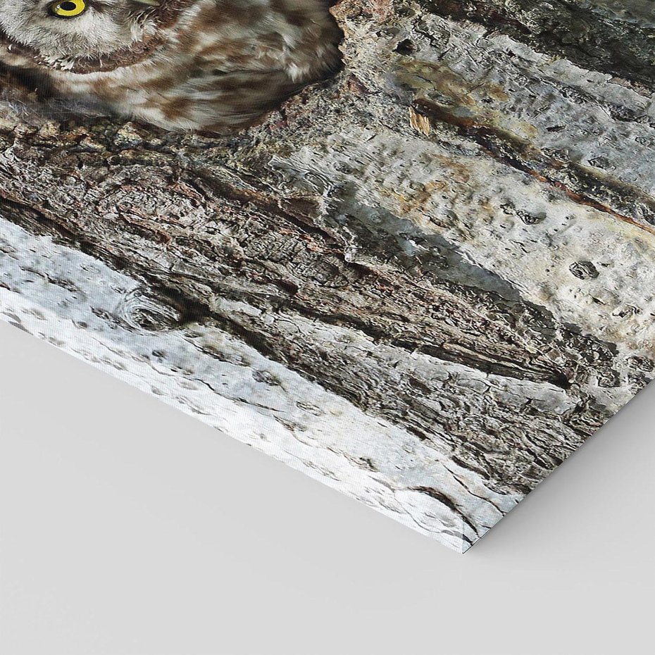 Obraz na płótnie 80x120 - Tajemniczy W świecie Nocy - sowa, dziupla