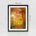 Plakat w ramie 30x40 - Złote barwy jesiennego lasu - las, jesień - rama czarna