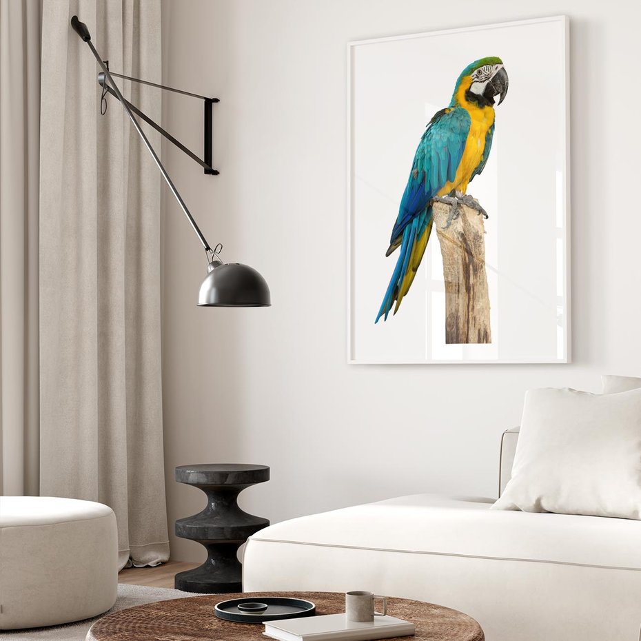 Plakat bez ramy 21x30 - Kolorowa papuga w locie - papuga, ptak