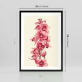 Plakat w ramie 50x70 - Orchidea w spa - relaks - orchidea, spa - rama czarna