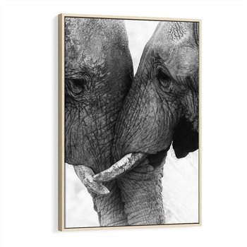 Obraz w ramie 80x120 - Spotkanie Mądrości - fotografia czarno biała, dwa słonie - rama drewno