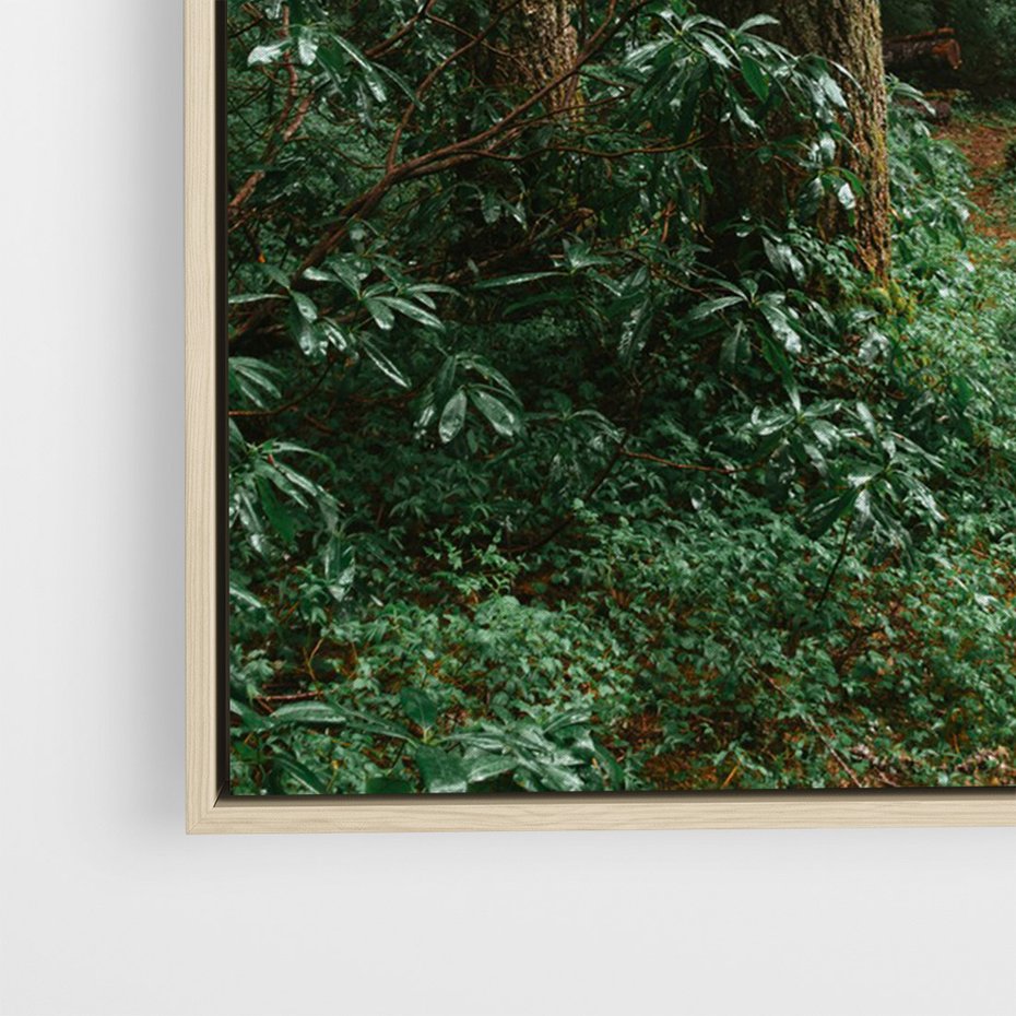 Obraz w ramie 50x70 - Mgliste Marzenia - artystyczna fotografia, las - rama drewno