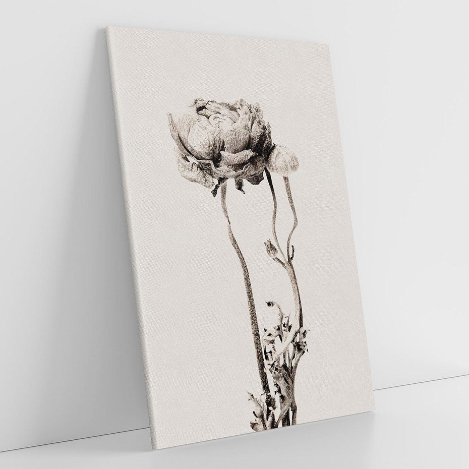 Obraz na płótnie 70x100 - Cień Kwiatowej Delikatności - kwiat, cień