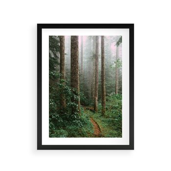 Plakat w ramie 30x40 - Mgliste Marzenia - artystyczna fotografia, las - rama czarna