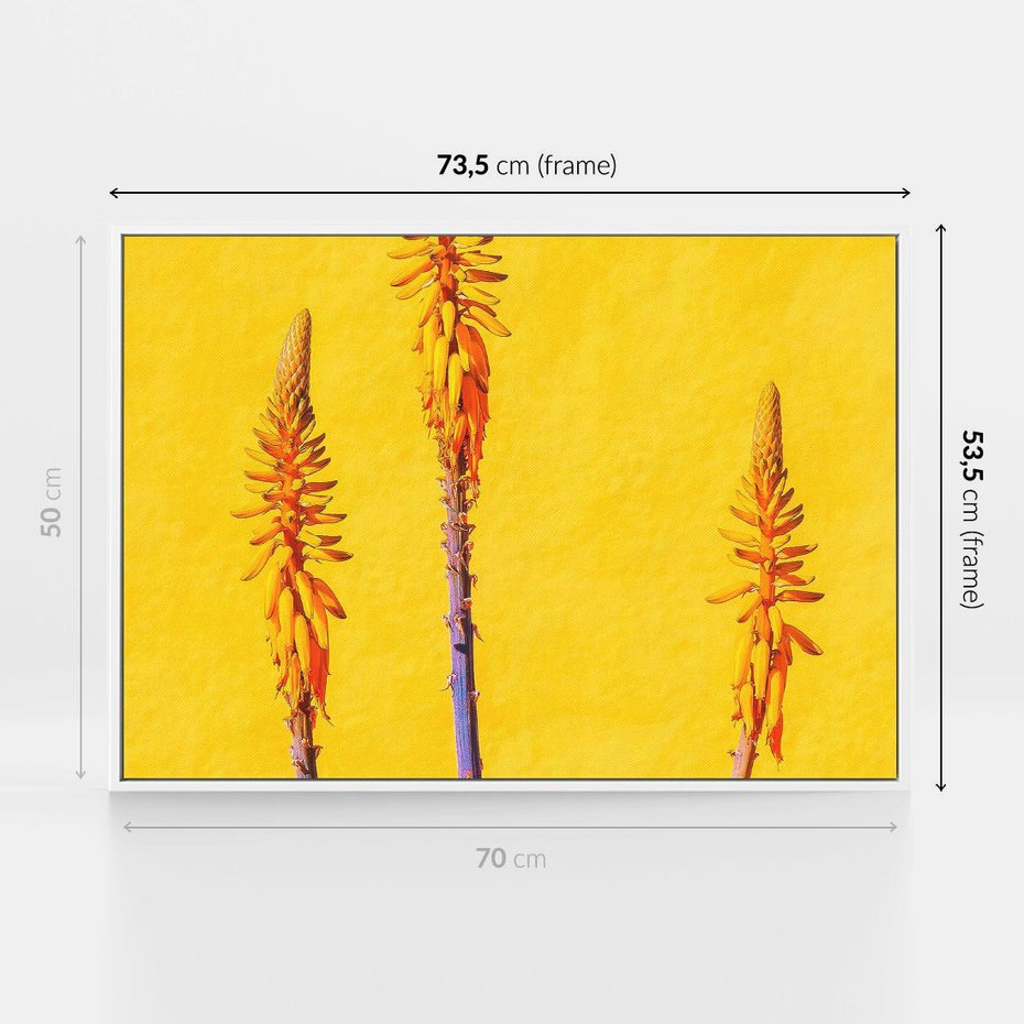 Obraz w ramie 70x50 - Radość Natury - kolor, kwiaty - rama biała