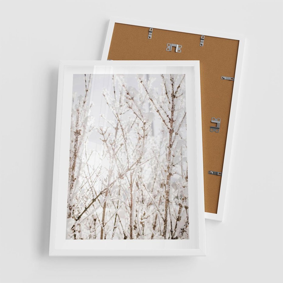 Plakat w ramie 50x70 - Szron na Gałęziach - ośnieżone gałązki, szron na gałęziach - rama biała