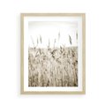 Plakat w ramie 40x50 - Nostalgiczny Pejzaż - suche trawy, pole - rama drewno