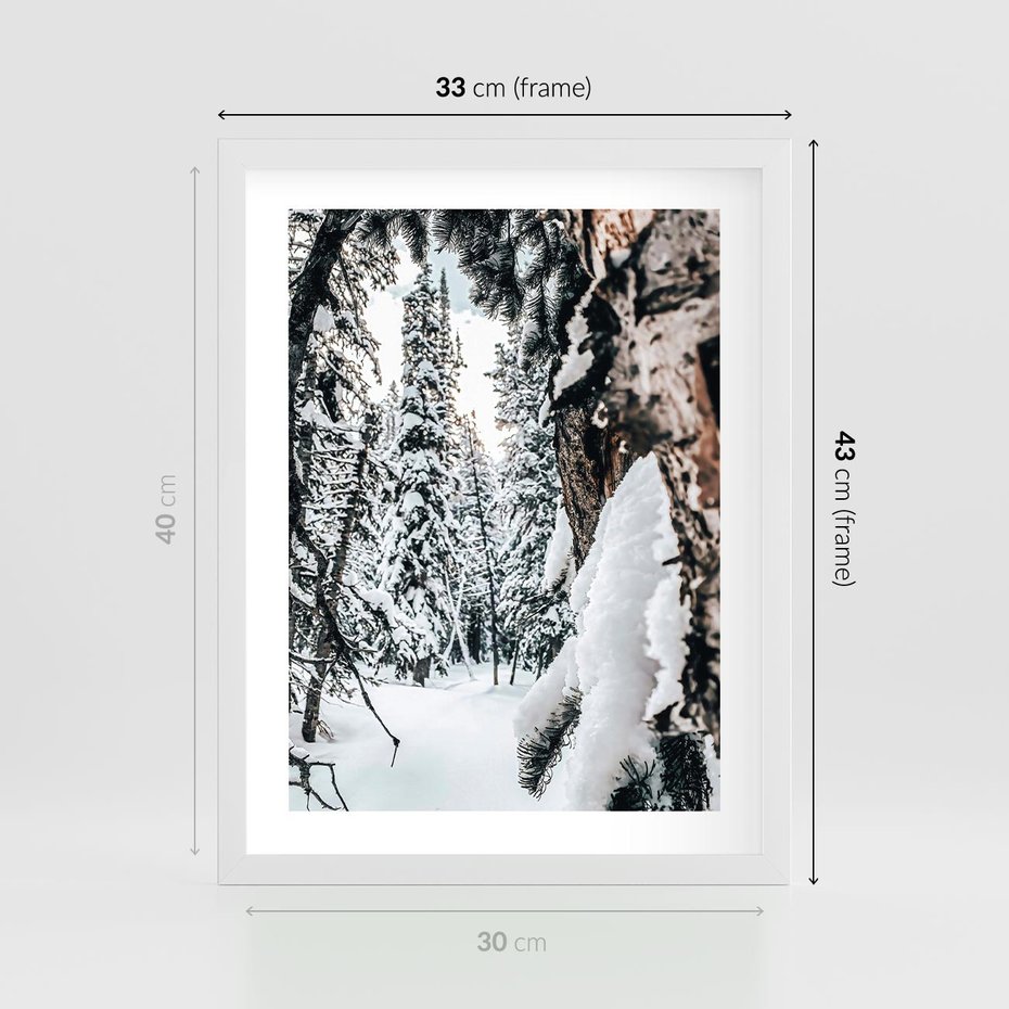 Plakat w ramie 30x40 - Drzewa pod Śniegiem - zima las, drzewa pod śniegiem - rama biała