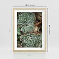 Plakat w ramie 30x40 - Zielona Uroda Sukulentów - sukulenty, zielone liście - rama drewno