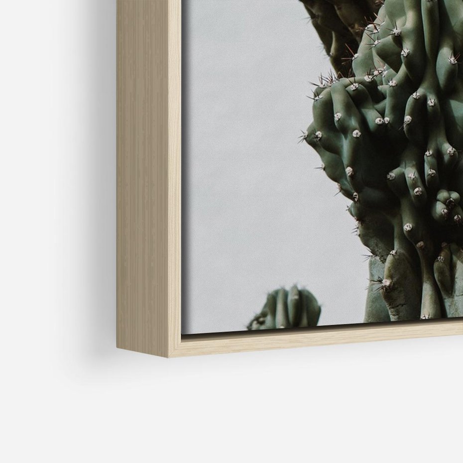 Obraz w ramie 70x50 - Boho oaza wśród kaktusów - kaktusy, pustynia - rama drewno