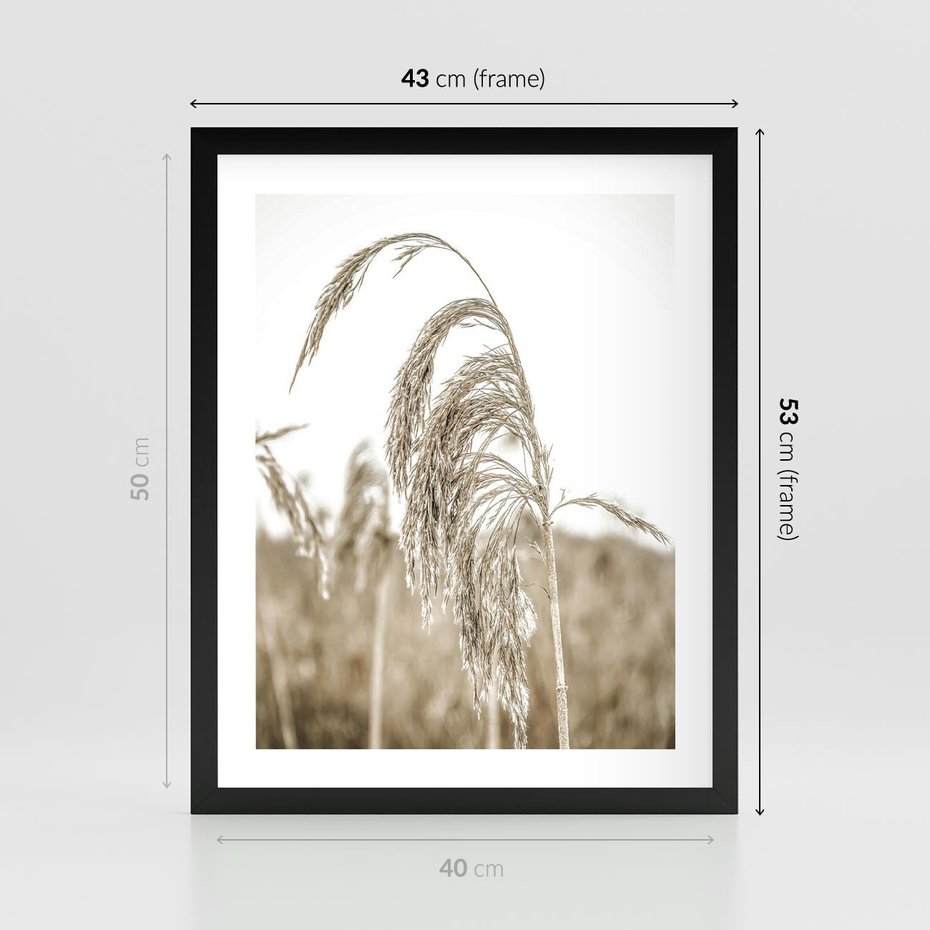 Plakat w ramie 40x50 - Ujęcie Suchych Traw - suche trawy, zbliżenie - rama czarna