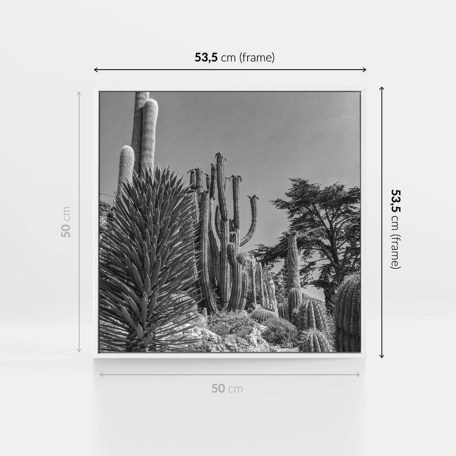 Obraz w ramie 50x50 - Pustynny Klimat - czarno białe zdjecie, pustynia - rama biała