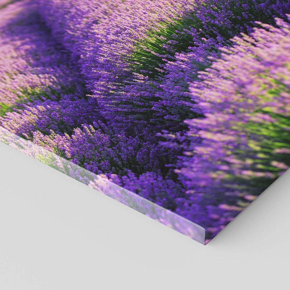 Obraz na płótnie 30x30 - Malownicze Pole Lawendy - lawenda, pole