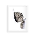 Plakat w ramie 30x40 - Tajemniczy kot i jego świat - kot, dziura - rama biała