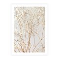 Plakat bez ramy 30x40 - Minimalistyczna Delikatność - białe kwiaty, gipsówka