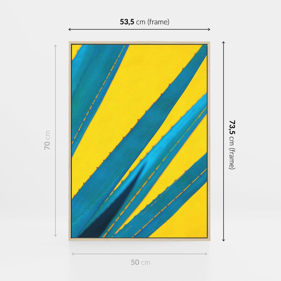 Obraz w ramie 50x70 - Świeżość Natury - aloes, liście - rama drewno