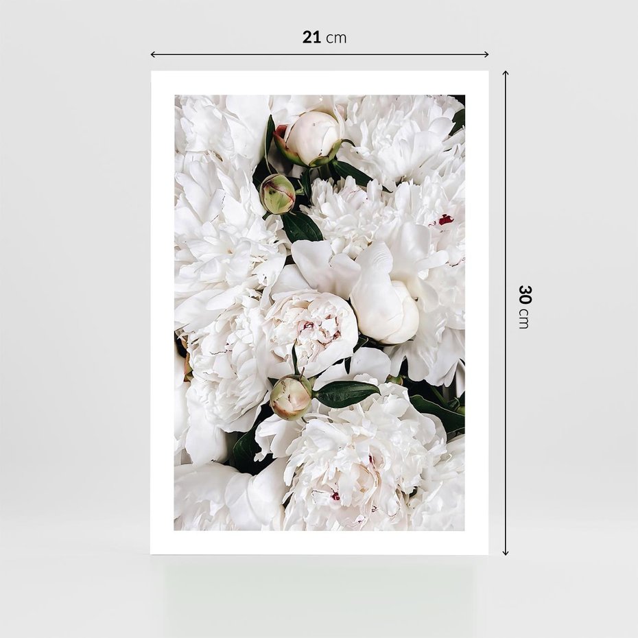 Plakat bez ramy 21x30 - Modne Białe Kwiaty - białe kwiaty, płatki