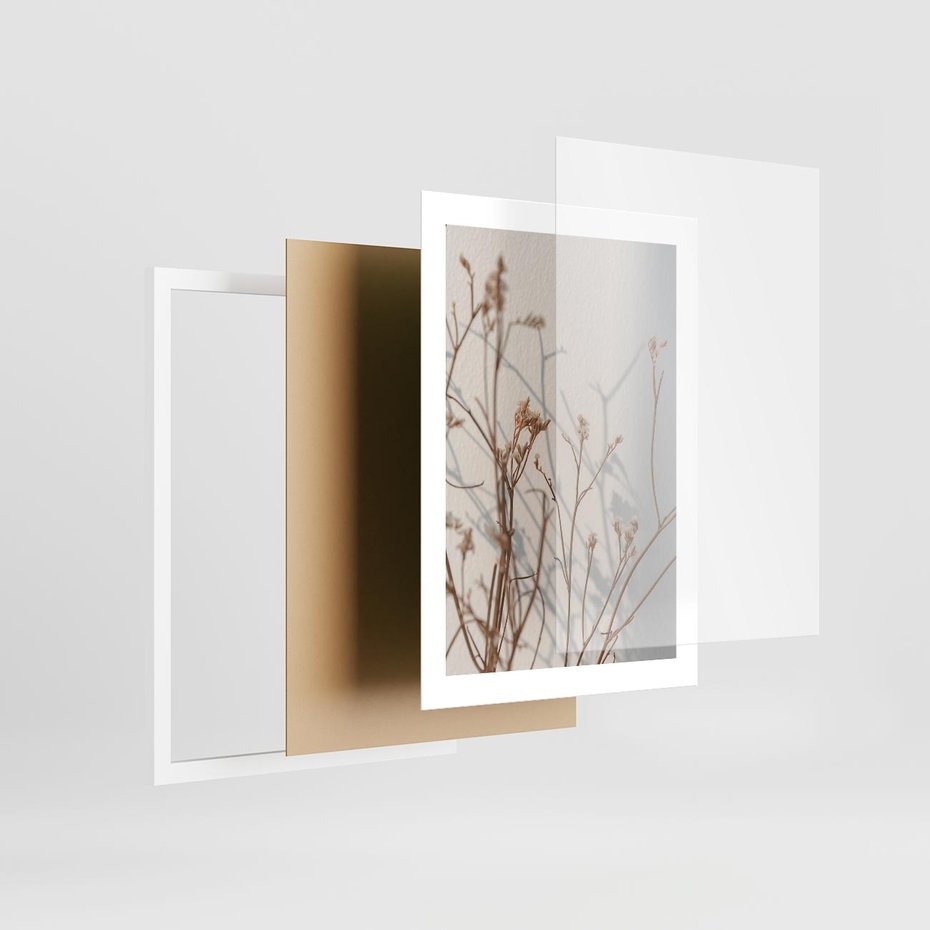 Plakat w ramie 30x40 - Boho gałązki suche - gałązki, suche - rama biała