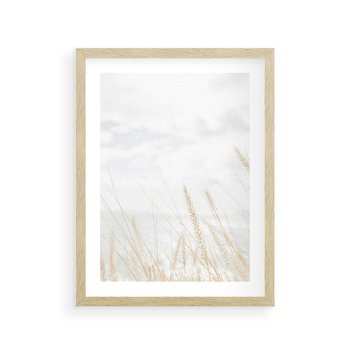 Plakat w ramie 40x50 - Jasna Delikatność: Fotografia Suchych Traw - suche trawy, jasna fotografia - rama drewno