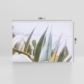Obraz na płótnie 120x80 - Sukulentowe liście - liście, sukulenty