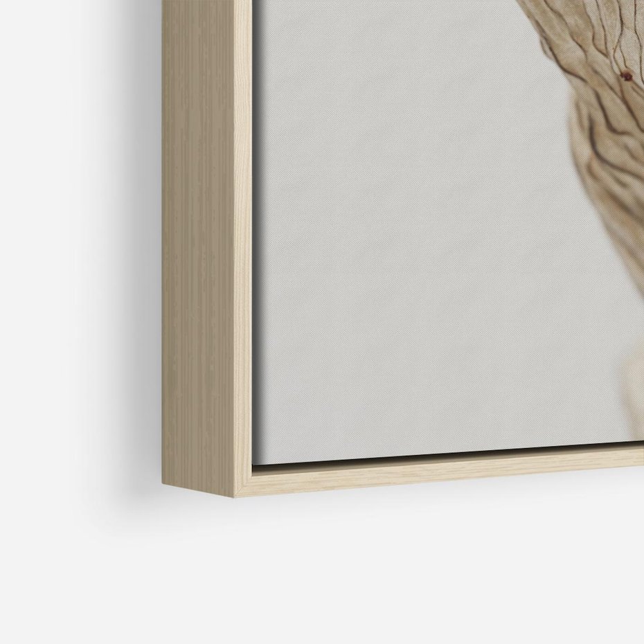 Obraz w ramie 50x50 - Suszone piękno - susz, suche - rama drewno