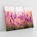 Obraz na płótnie 120x80 - Lawenda: Pachnące pole kwiatów - kwiaty, lawenda