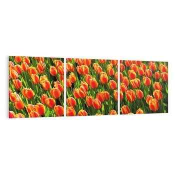 Obraz na płótnie 150x50 - Urok tulipanów piękno kwiatów - tulipany, kwiaty
