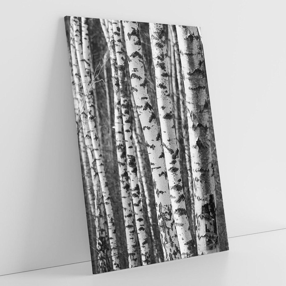 Obraz na płótnie 70x100 - Kontrast Monochromatyczny - brzozy, czarno