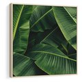 Obraz w ramie 50x50 - Zaklęta roślinna ekspresja - liście bananowca, gęsto ułożone - rama drewno