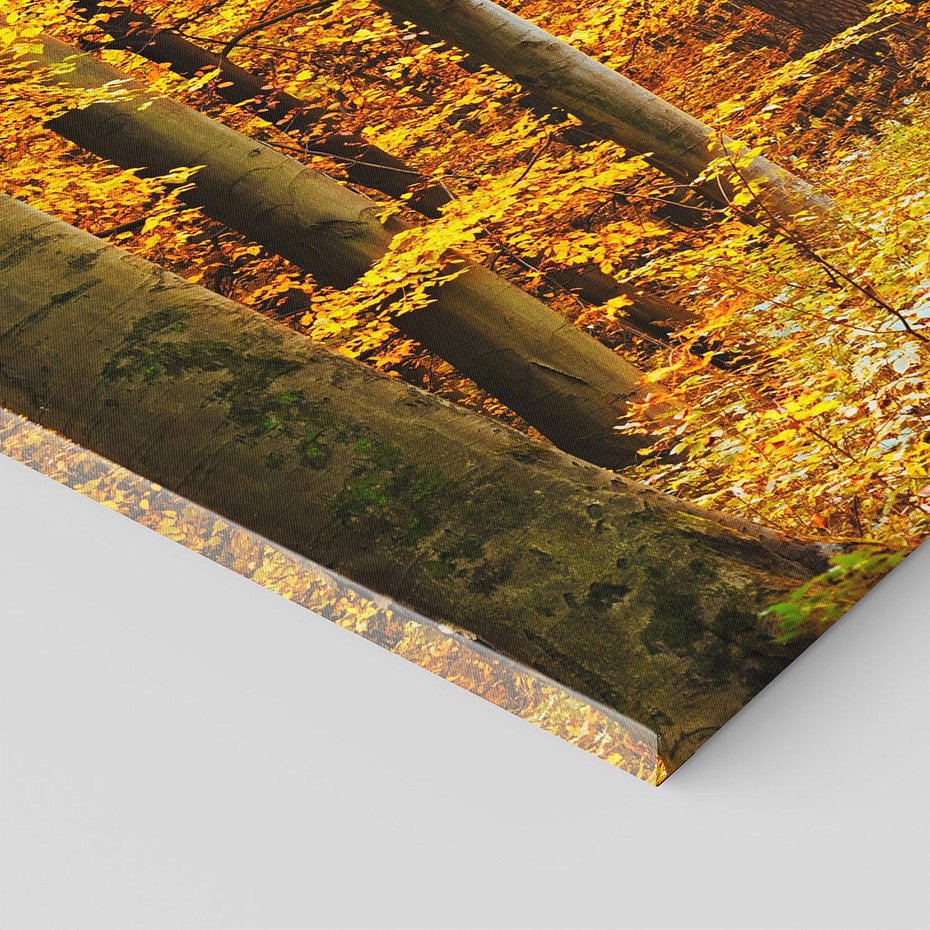 Obraz na płótnie 120x60 - Jesień w lesie - las, drzewa