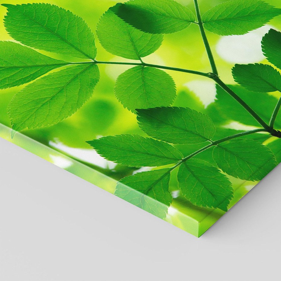 Obraz na płótnie 30x30 - Magia liści - liście, drzewo