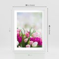 Plakat w ramie 30x40 - Tulipany w pełnym rozkwicie - tulipany, kwiaty - rama biała