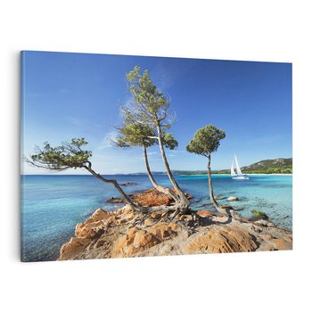 Obraz na płótnie 120x80 - Korsyka - morze i drzewa - Korsyka, morze