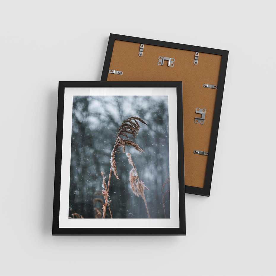 Plakat w ramie 40x50 - Zima na Łonie Natury - sucha wysoka trawa, w zimie - rama czarna