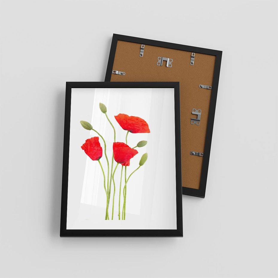 Plakat w ramie 30x40 - Pola maków w pełnym kolorze - maki, kwiaty - rama czarna
