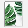 Obraz w ramie 80x120 - Monstera - Liście Kwiaty - monstera, liście - rama biała
