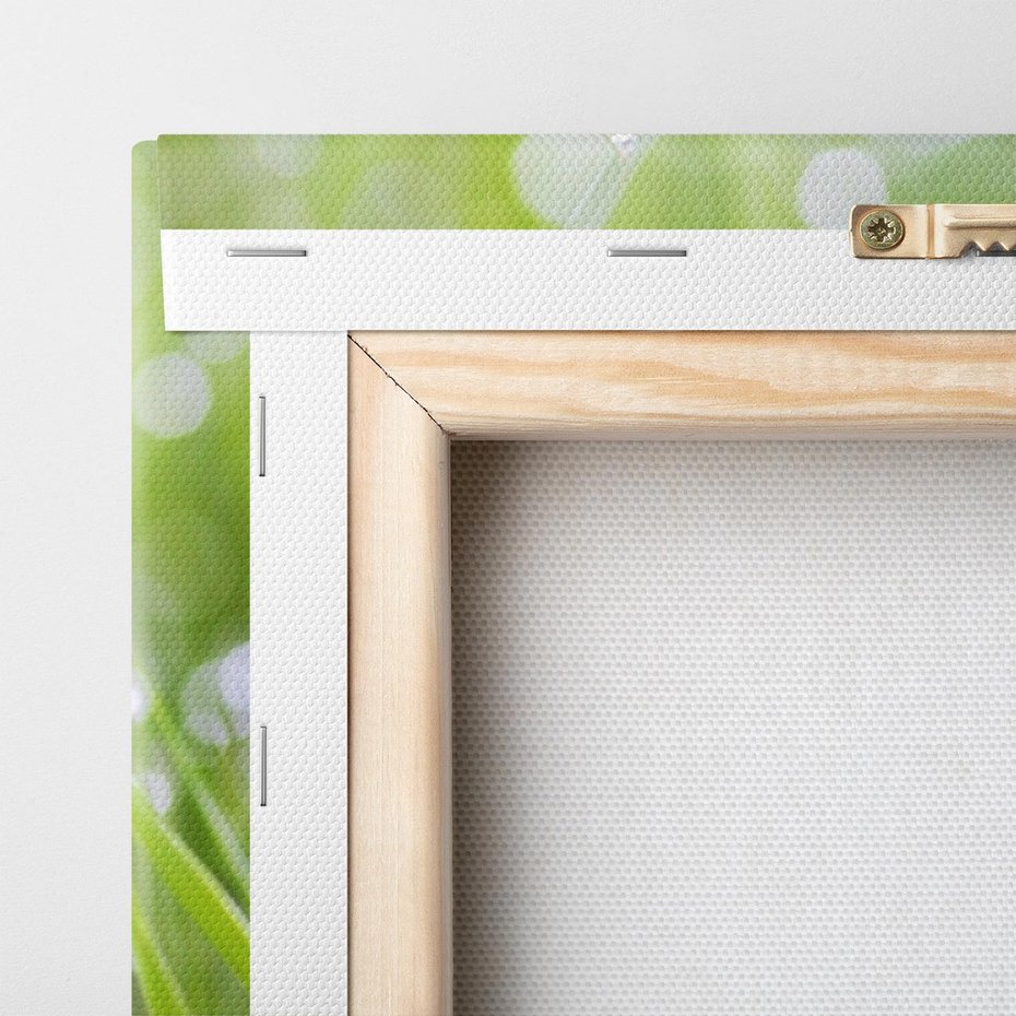 Obraz na płótnie 140x70 - Delikatna trawa pokryta rosą - trawa, rosa