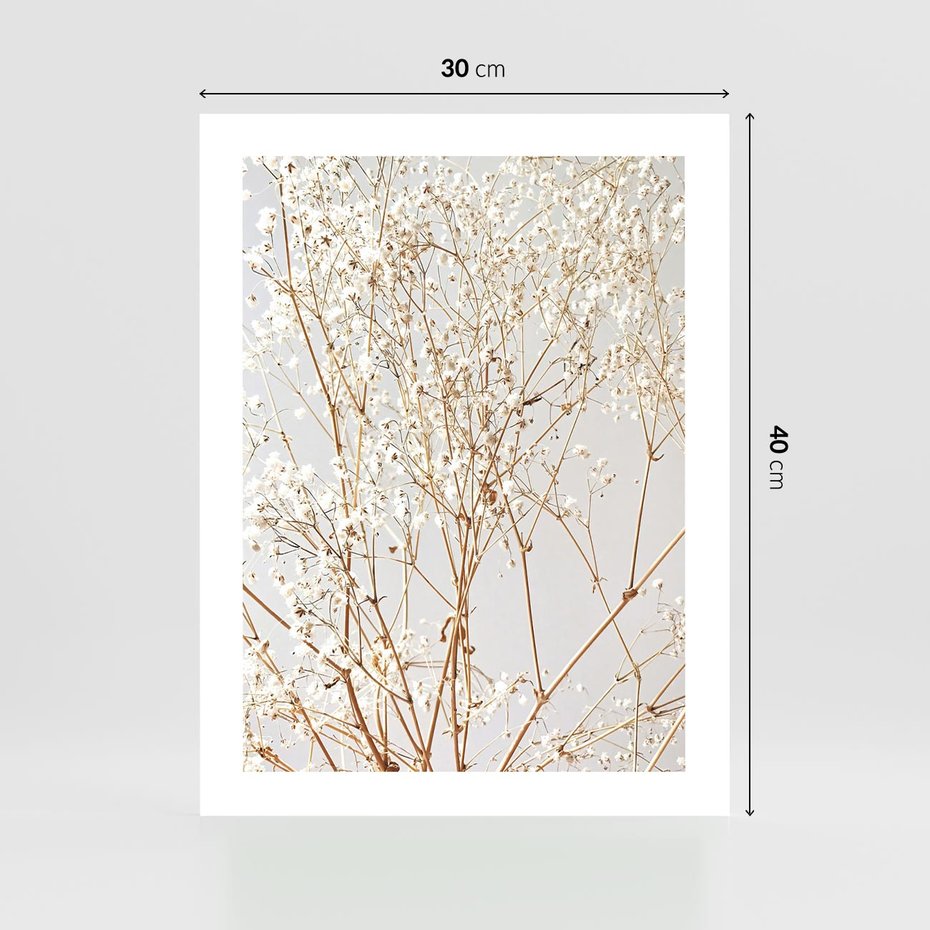 Plakat bez ramy 30x40 - Minimalistyczna Delikatność - białe kwiaty, gipsówka