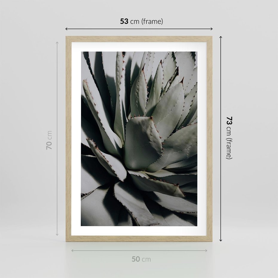 Plakat w ramie 50x70 - Egzotyczny Raj - sukulenty, kaktusy - rama drewno