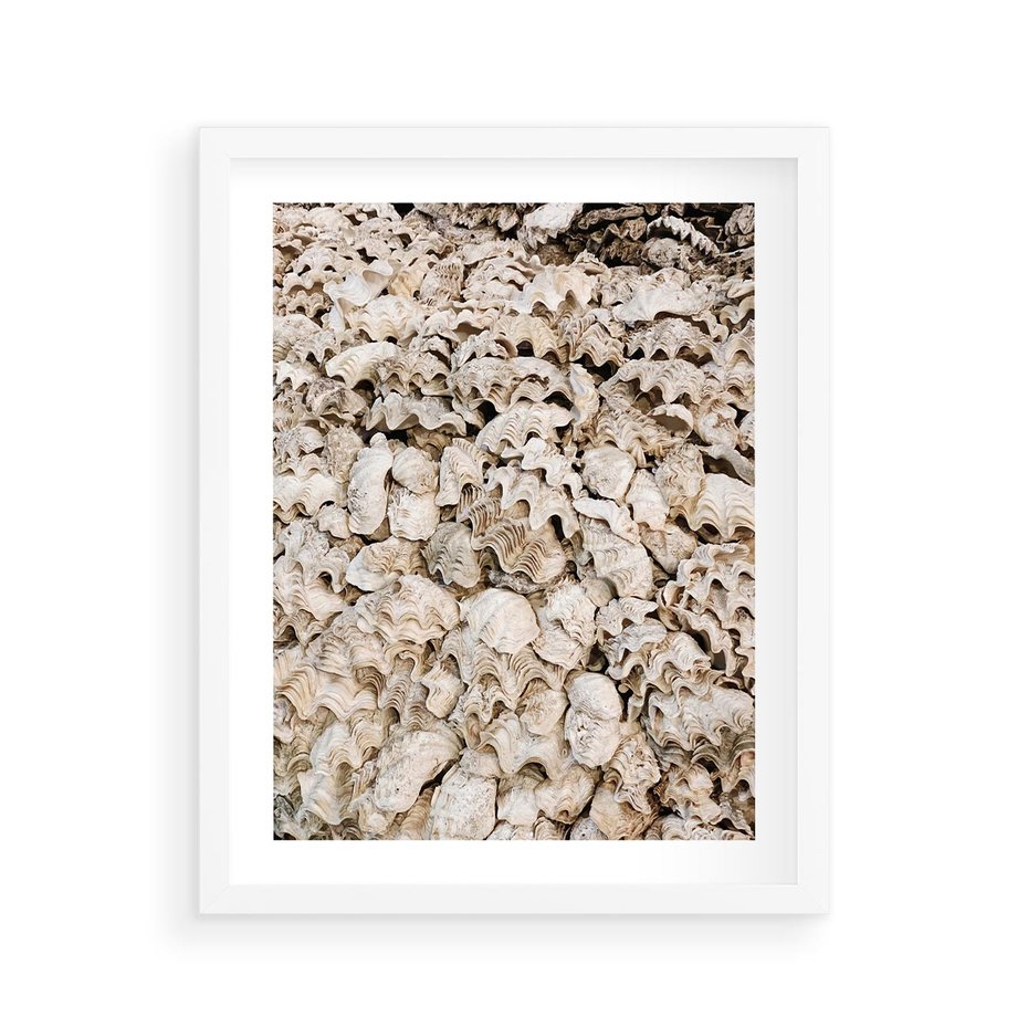 Plakat w ramie 40x50 - Symfonia Natury - kompozycja z białych muszli - rama biała
