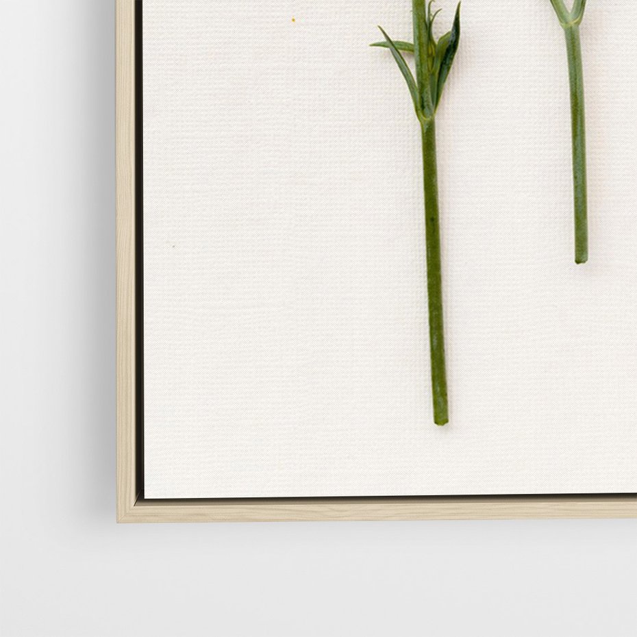 Obraz w ramie 80x120 - Białe kwiatowe uniesienia - białe, kwiaty - rama drewno