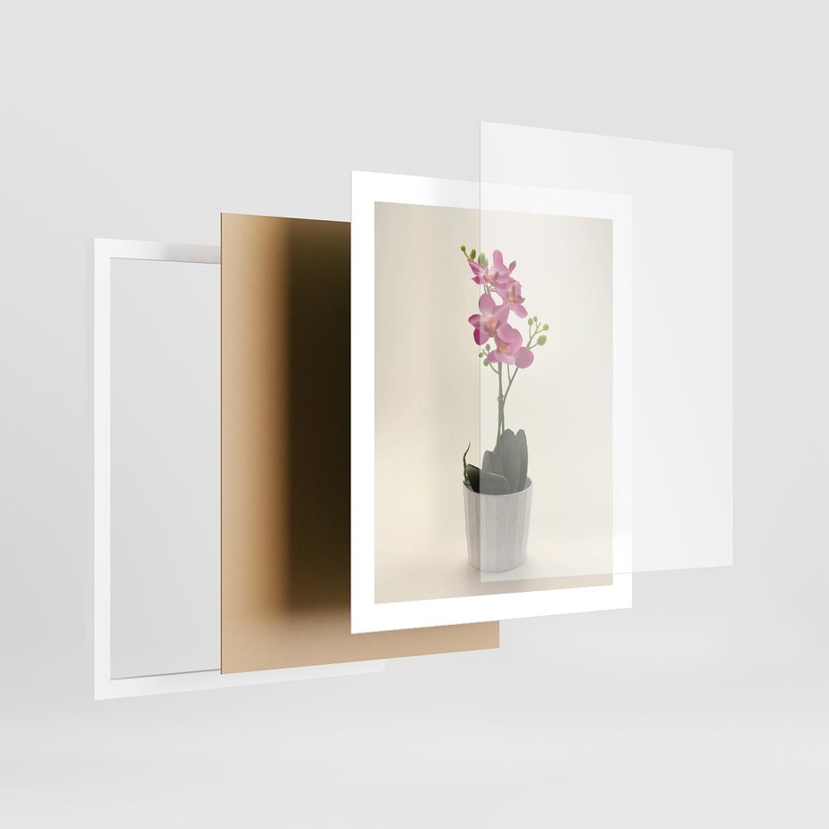 Plakat w ramie 40x50 - Delikatność storczyka orchidei - storczyk, orchidea - rama biała