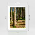 Plakat w ramie 40x50 - Las: harmonia natury - las, drzewa - rama biała