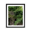 Plakat w ramie 40x50 - Żywiołowa Zieleń - mur, liście - rama czarna