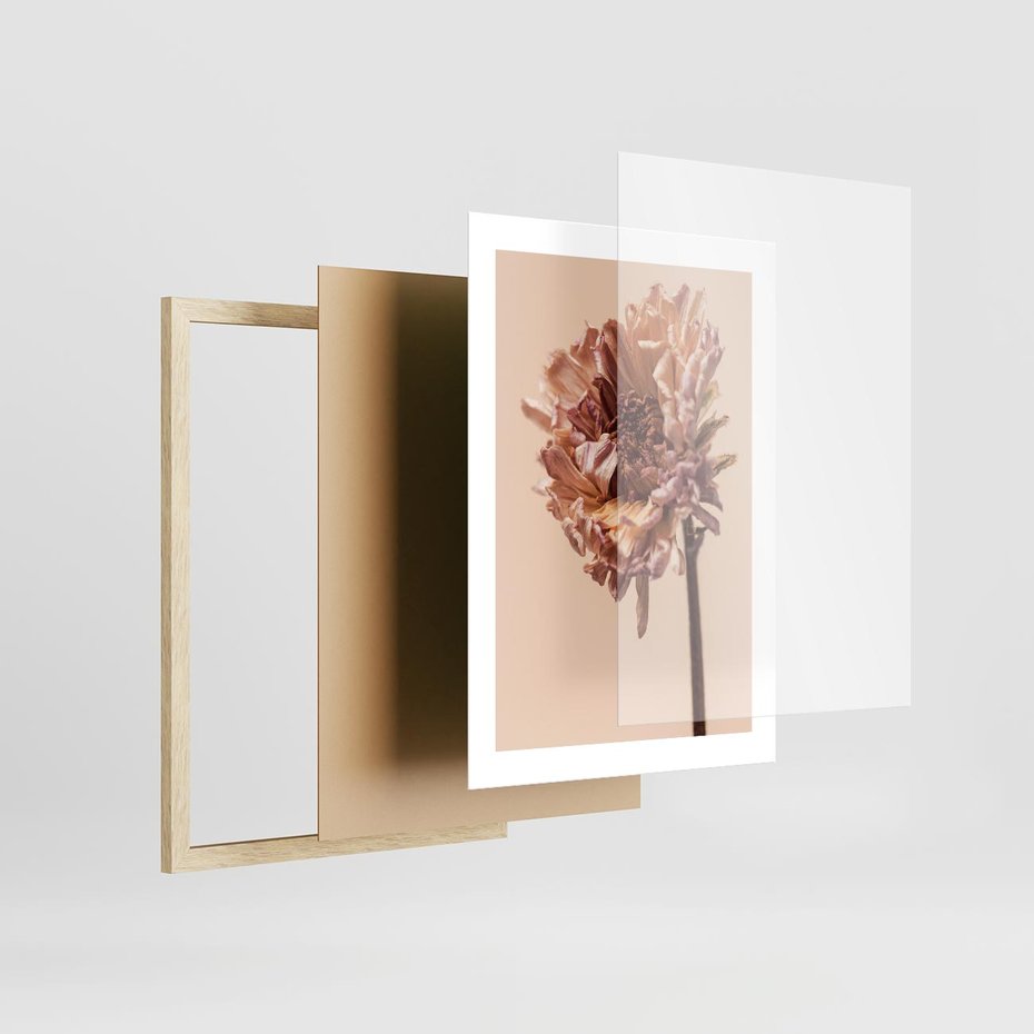 Plakat w ramie 30x40 - Delikatne piękno - suche, kwiaty - rama drewno