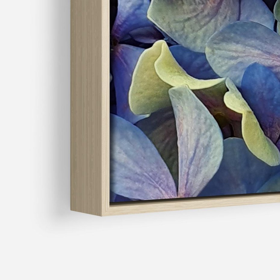 Obraz w ramie 100x70 - Hortensja - delikatność kwiatów - hortensja, kwiaty - rama drewno