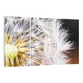 Obraz na płótnie 120x80 - Dmuchawiec: lekkość natury - dmuchawiec, natura