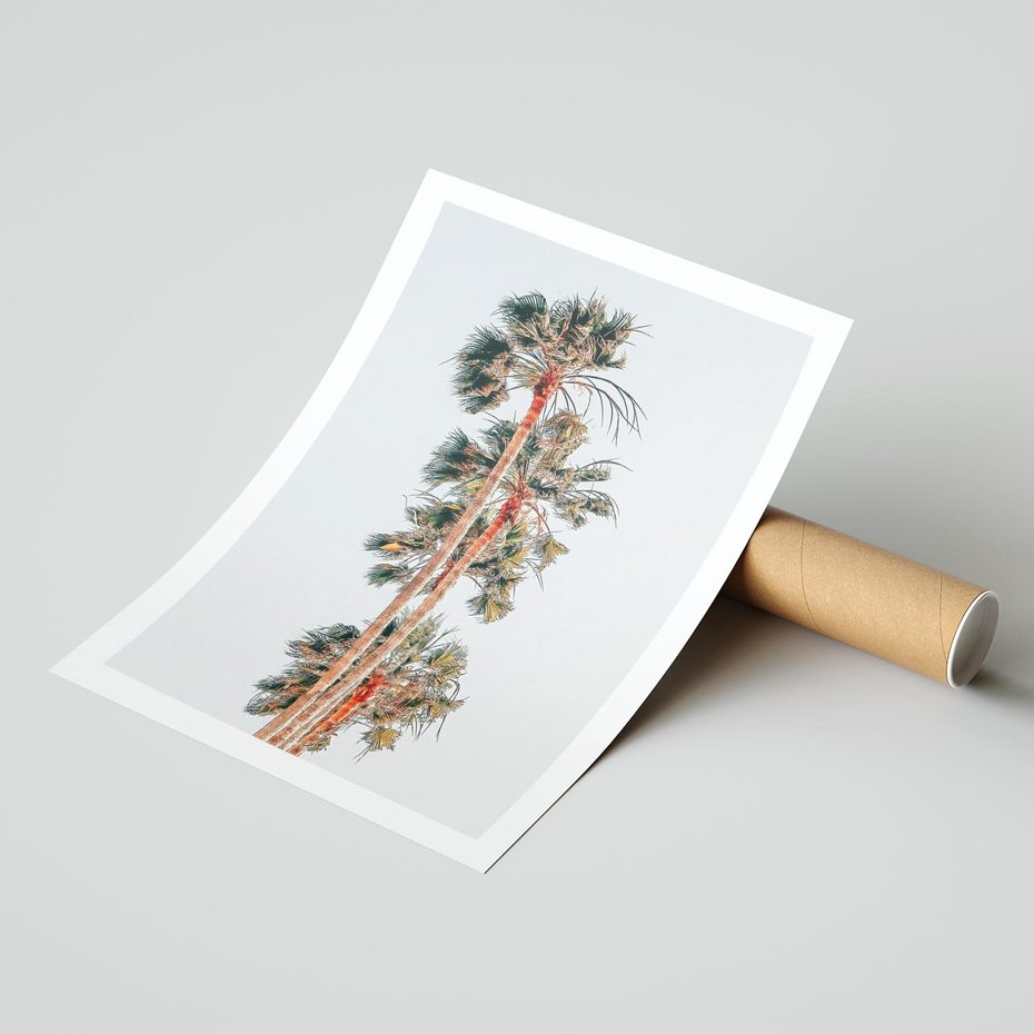 Plakat bez ramy 30x40 - Kształty Palm - palmy, zdjęcie